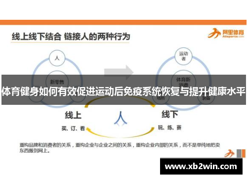 体育健身如何有效促进运动后免疫系统恢复与提升健康水平