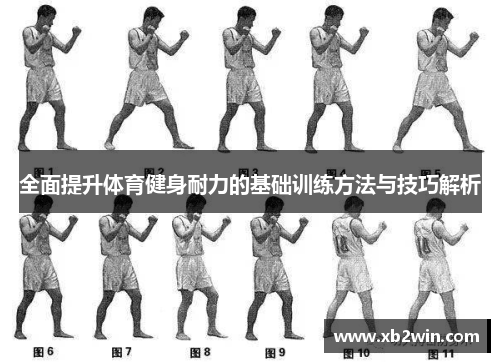 全面提升体育健身耐力的基础训练方法与技巧解析